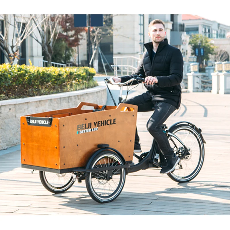 Cargo bike electric  frame tricycle three wheel ebike / family bike bicycle with rain cover