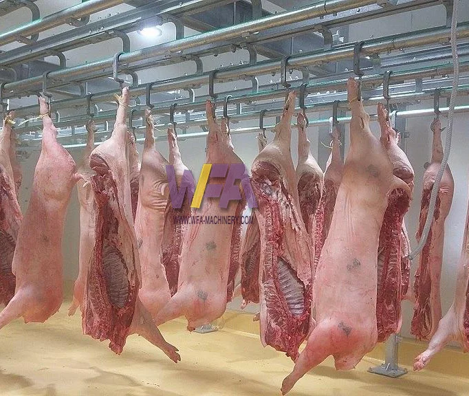 Design Small Meat Slaughter House 50 Hog Pig Abattoir Pork Line Equipment