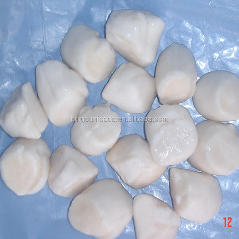 New Season Good Price Frozen Sea Scallop Meat Hot Sale in Scallop
