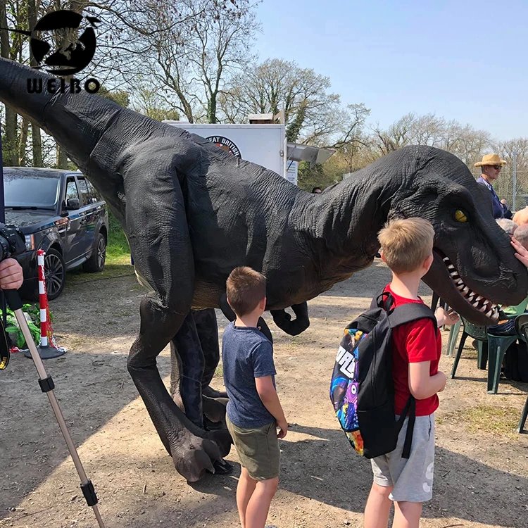 
Factory manufacture various animatronic dinosaur costume 