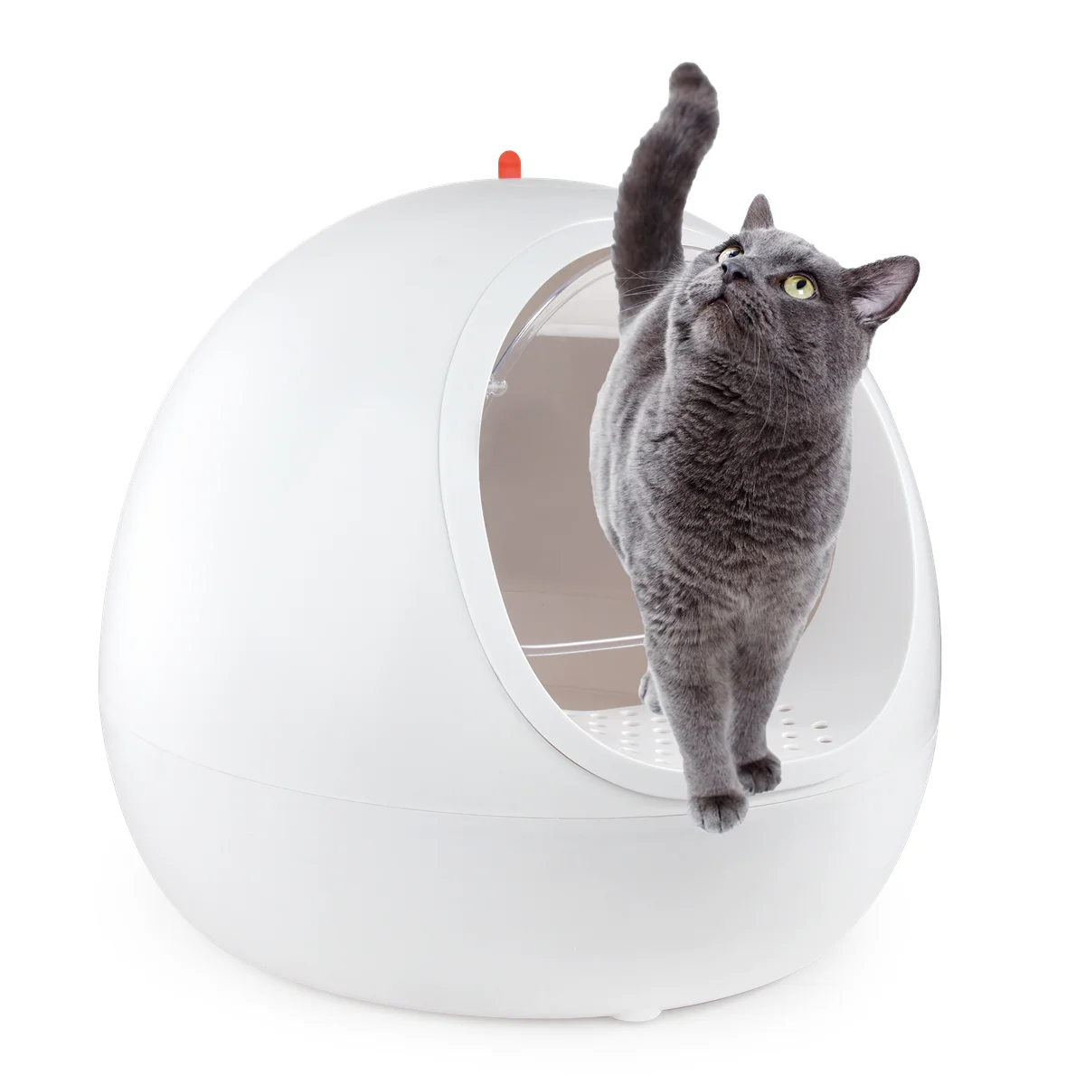 AFP New Design Large Dome Cave Cat Litter Box With Super Air Purifier Odor Filtration System Quiet Safe Enclosed Cat Litter Box