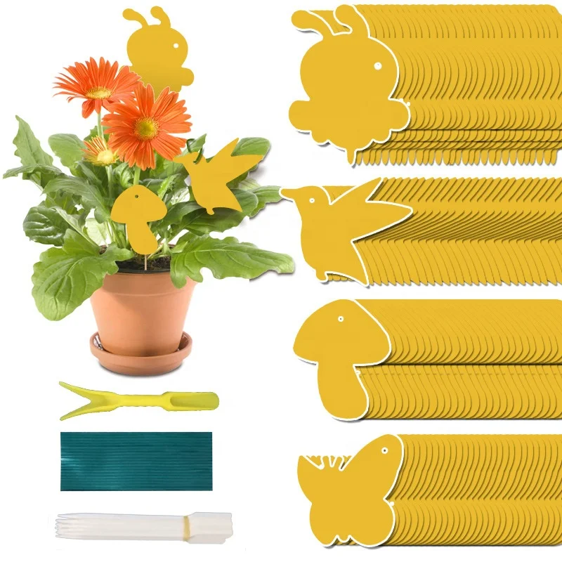 Custom New Double-Sided Powerful Glue Special-Shaped Indoor Insect Trap, Flying Insect Trap, Insect Glue Trap