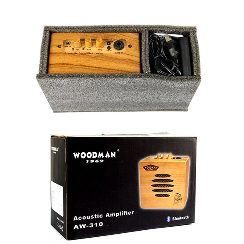 Solid wood compact portable  15w rechargeable acoustic guitar speaker