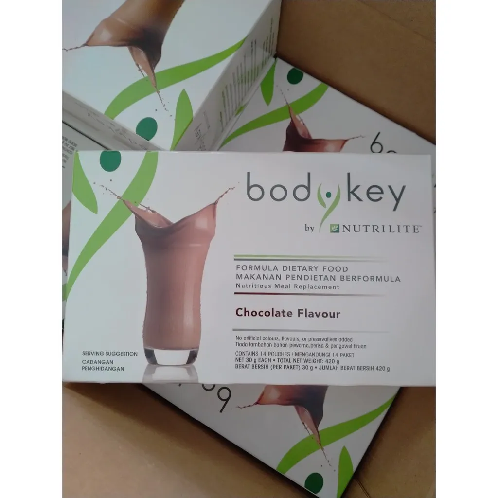 BodyKey by NUTRILITE Meal Replacement Shake chocolate Flavor Ingredients Protein dietary fiber vitamins minerals energy