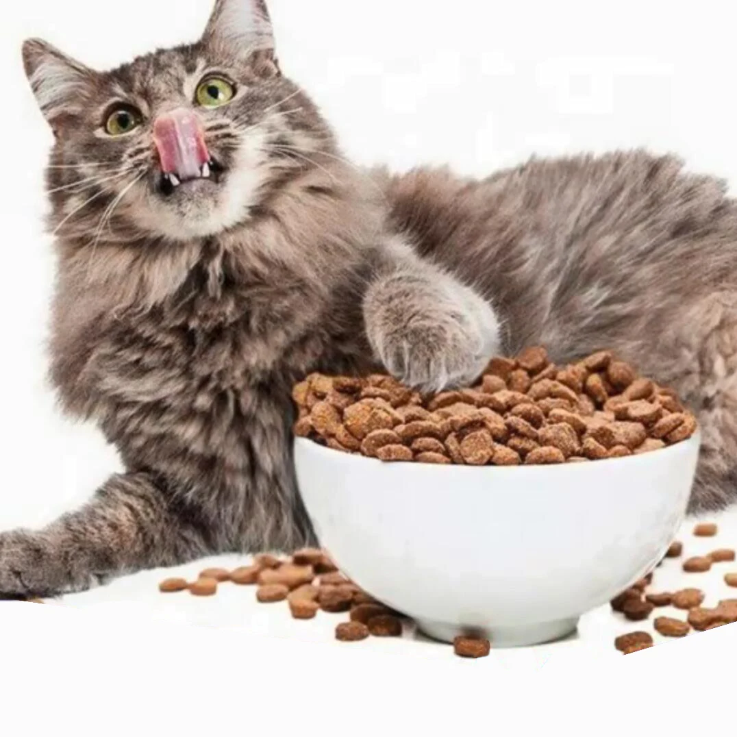 Wholesale Natural Nutrition Balanced No Additive Bulk Adult Cat Food Dry Organic Pet Cat Food