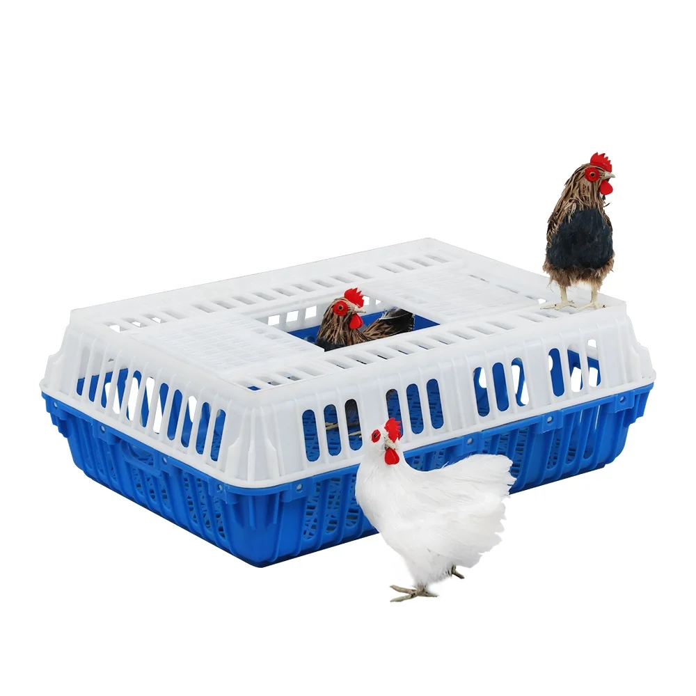 China manufacturer supply big capacity sturdy open top door Plastic live chicken transport crate / cage