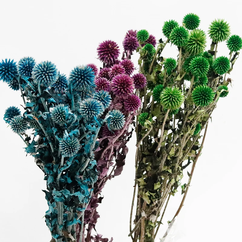 GH-078 wholesale real natural preserved dried flowers blue spherical planet globe thistle echinops latifolius for decor
