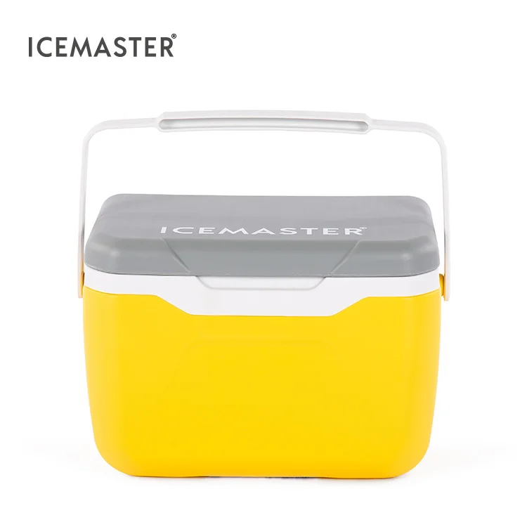Лидер продаж рекламная кулер IceMaster высшего качества на заказ для морозильной камеры