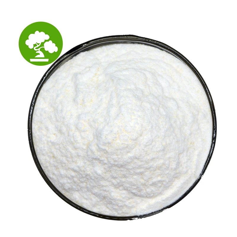 High Quality Powder Probiotic Lactobacillus Fermentum