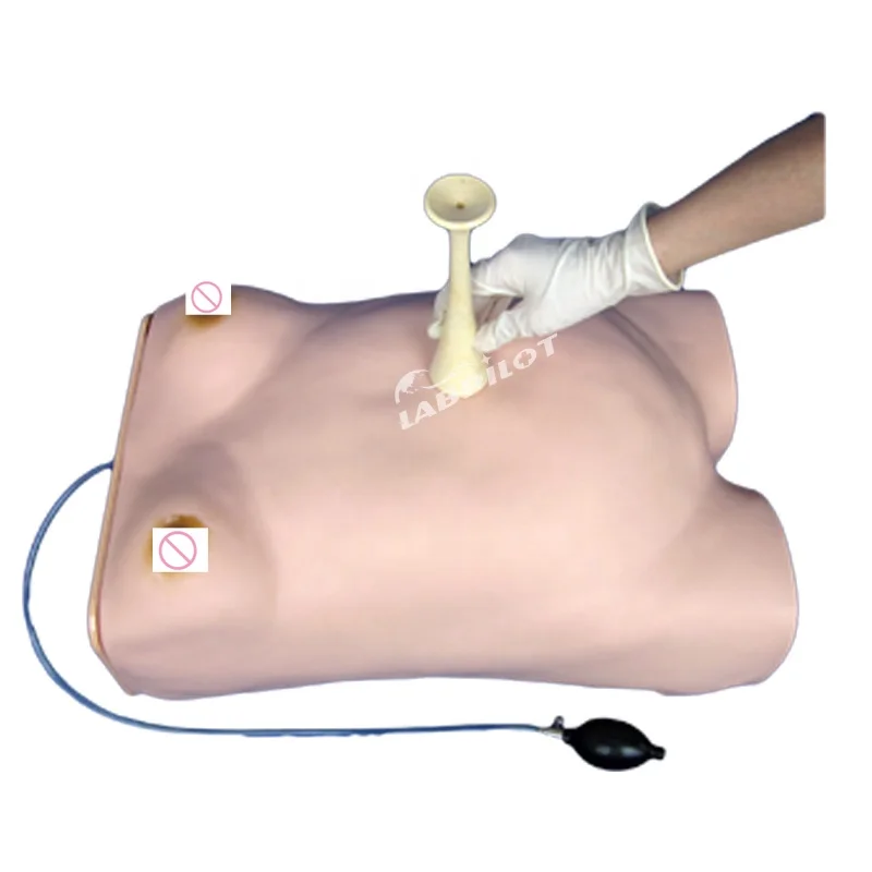 Basic Maternity Examination Model, Pregnant Women Examination Manikin