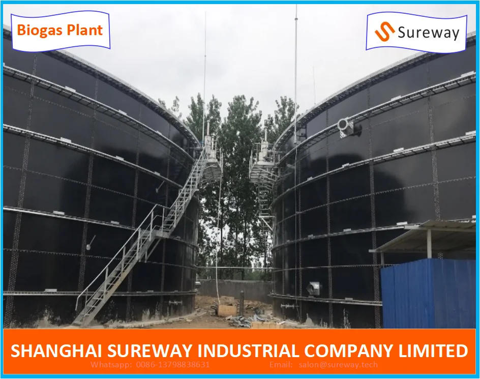 Cstr Reactor Biogas Anaerobic Digester/Fermenter/Producer Power Plant