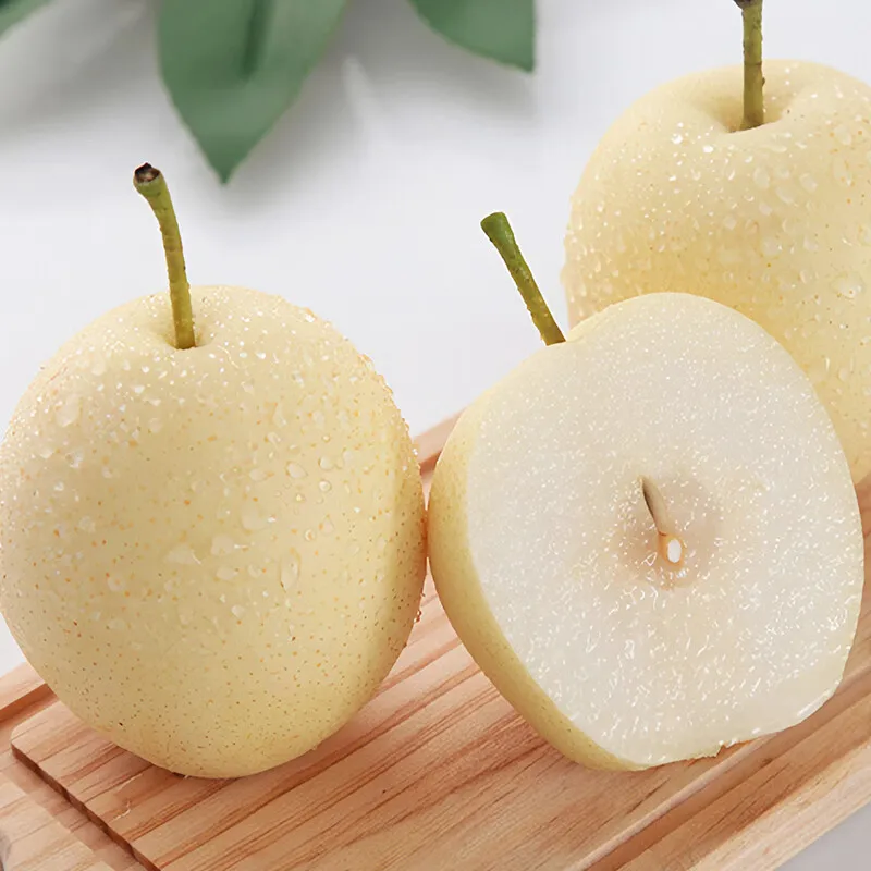 High quality of Chinese pear fruit crown pear new crop fresh pears price for Russia and Ecuador export from China