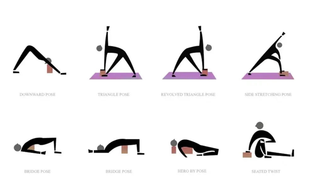 
Large Size Factory Cost yoga blocks cork Comply with EU Standard 