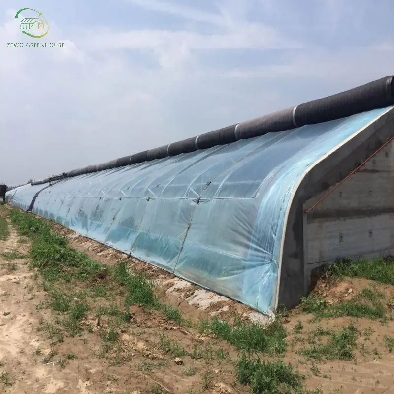 wholesale price  Waterproof Fabric Film Agricultural Greenhouse Plastic Film from factory