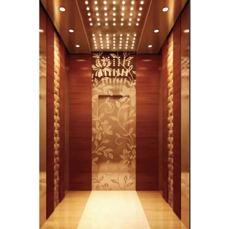 China Residential and Commercial Indoor/Outdoor Elevator Price