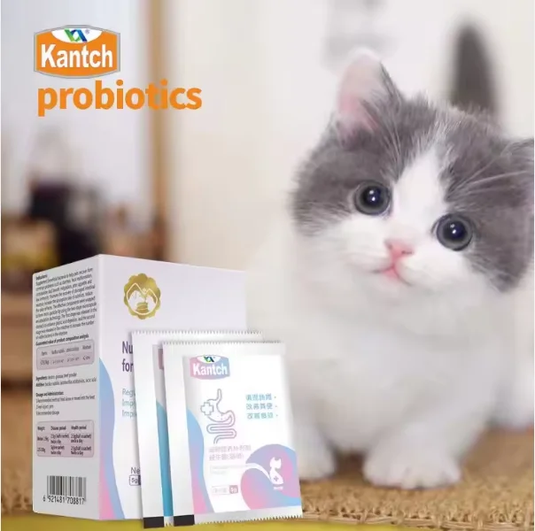 manufactural odm pet nutrition supplements for dogs diarrhea or constipation treatment regulate the stomach