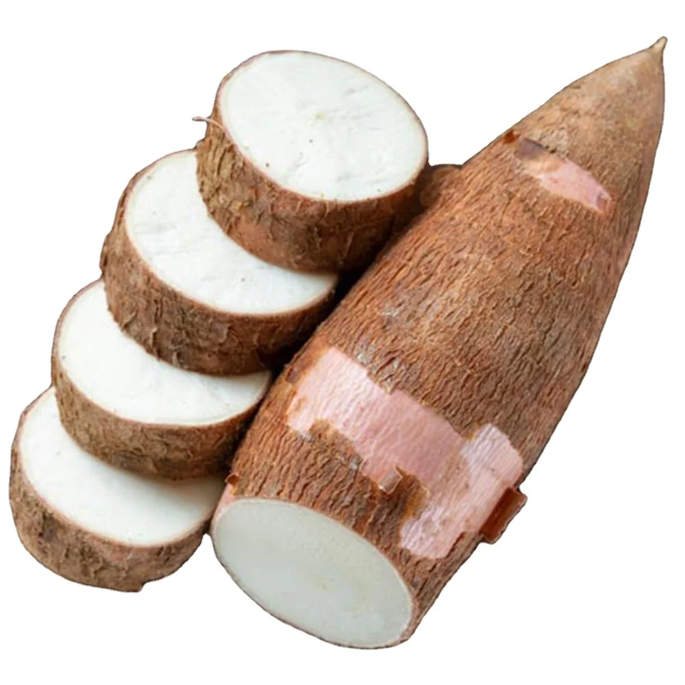 Starch material casava chips International qualify Cassava casava for Ready to ship and Fast logistic service/cassava dried