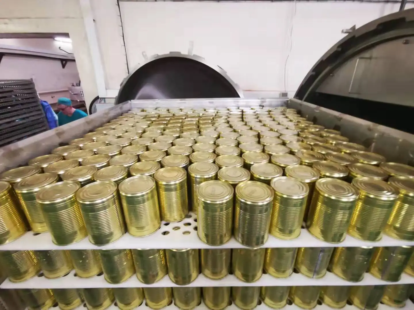 CE certificate Water Spray Type Canned Food Sterilization Retort for food cans