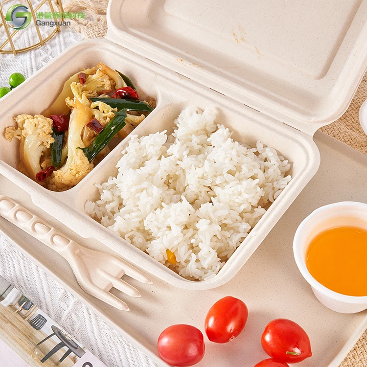 High-Temperature Disposable Lunch Box With Lid Takeaway Food Tray For BBQ Baking Sugarcane Bagasse Containers Disposable Plates