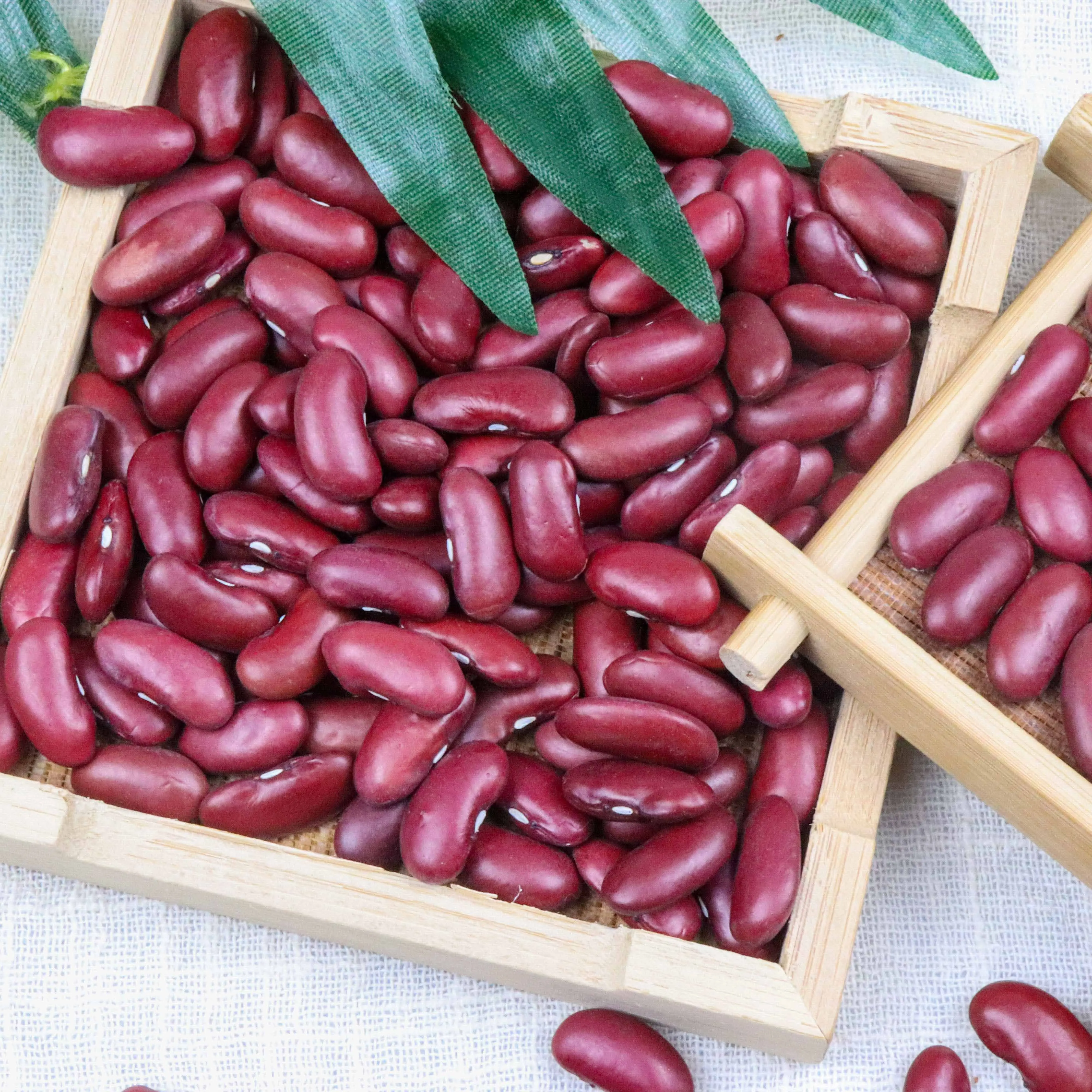 
2020 New Crop British red kidney beans with whole sale price 