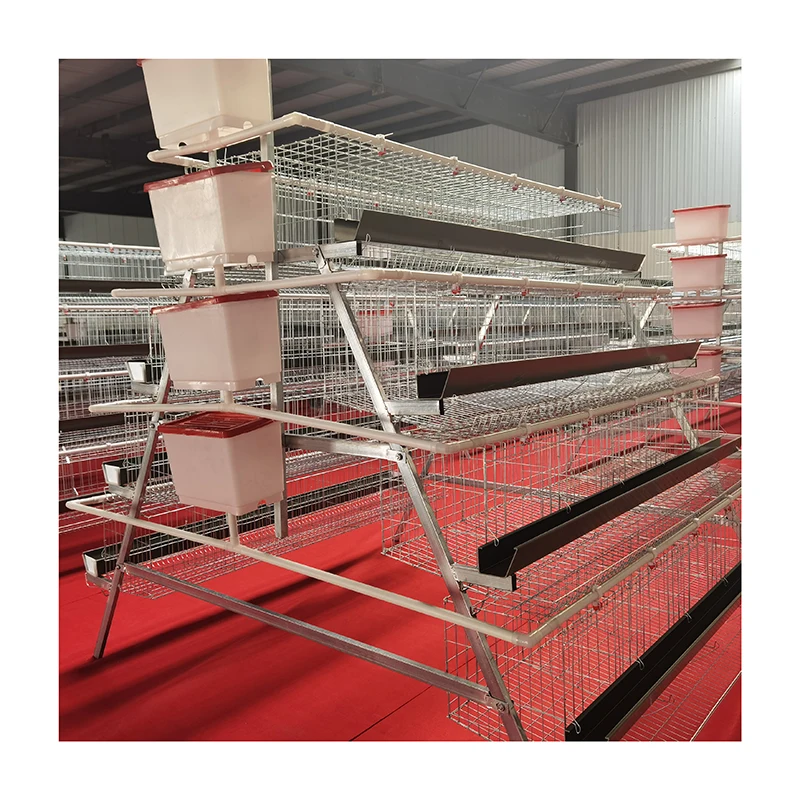 Modern Chicken Farm Design for Automatic Poultry Equipment/H type layer animal bird cage reptile glass decoration wedding