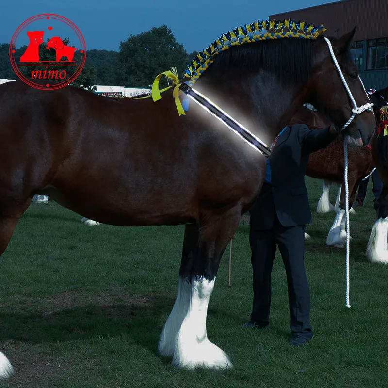 Dual Led Horse Harness Night Visible Colorful Nylon Breastplate Breast Collar Safe Horse Riding Equipment Equestrian