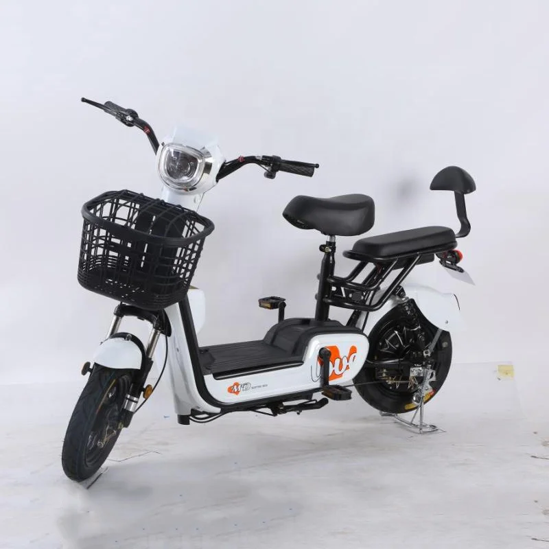 China manufacturer snow ebike snow e-bike mid drive motor electric bike