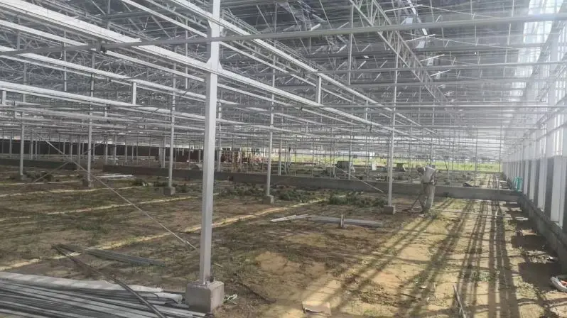 
multi-span glass hydroponic growing systems greenhouse sale 