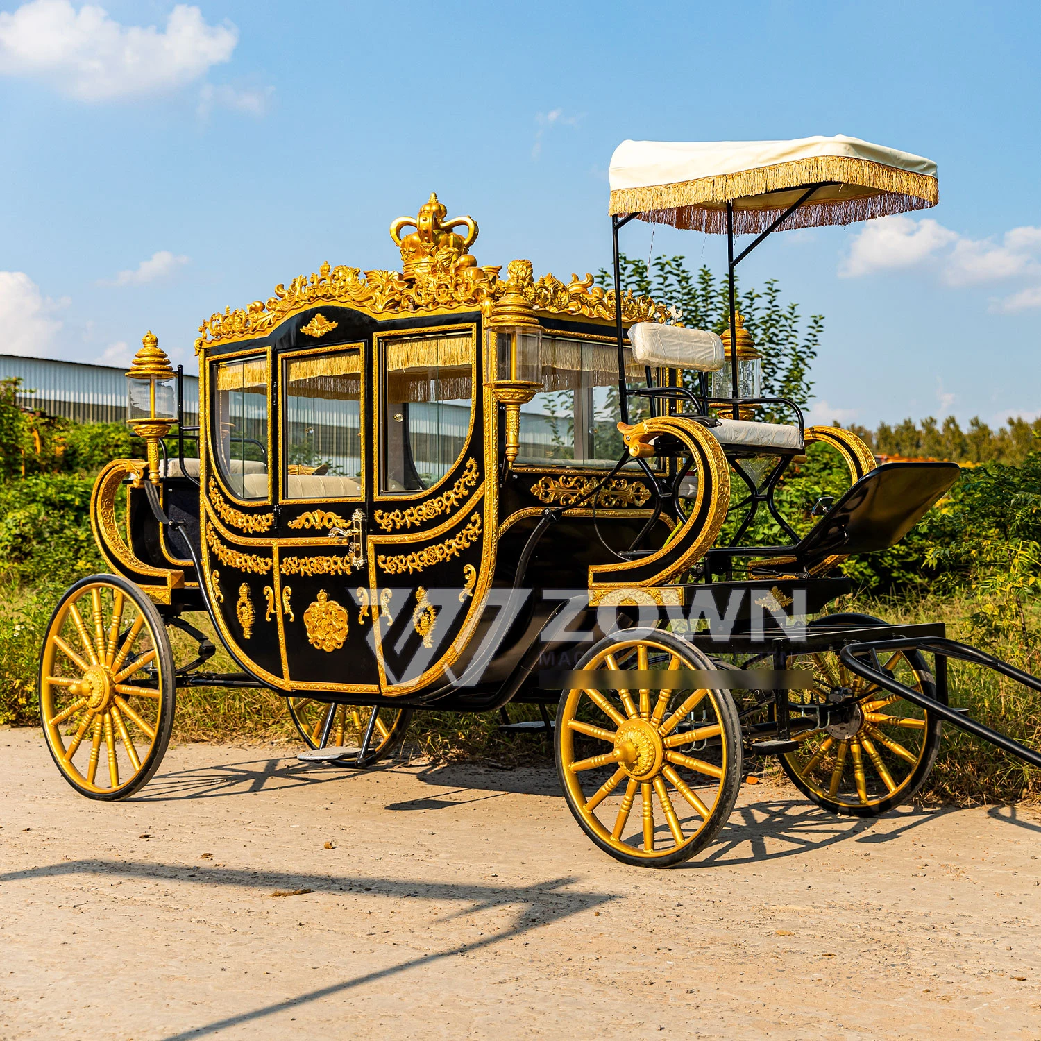 Good Performance Black Color Design Horse Carriage Royal Electric Horseless Carriage 4-6 Seats for Sale