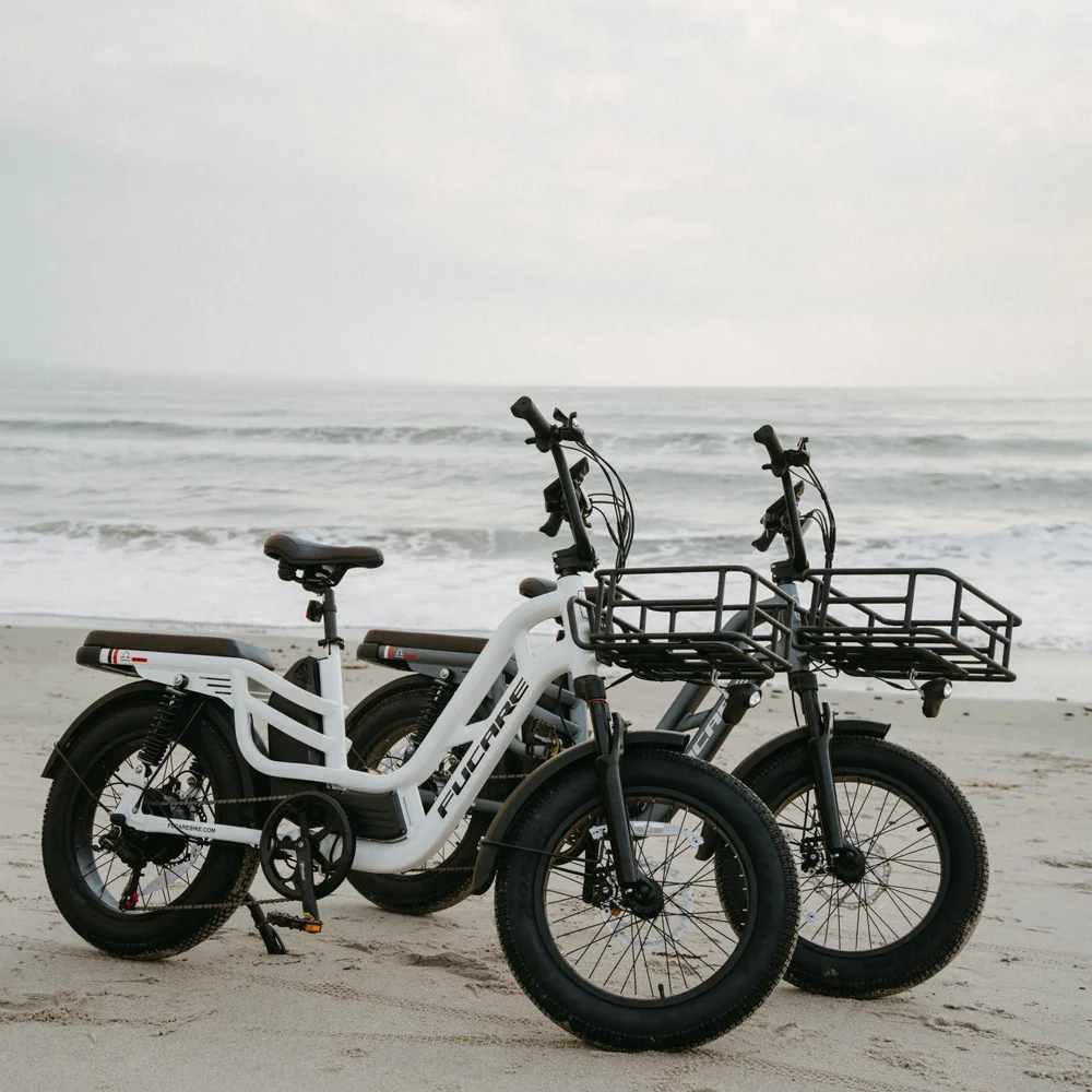 Fucare White Libra 48V 750W High Power Motor Max Speed 52km/h Aluminum Alloy 20 Inch Fat Tire Bike with Two Seats for Children