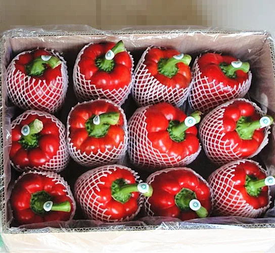 Китайский свежий Перцовый/свежий Перцовый перец/желтый сладкий перец/красный/зеленый +
