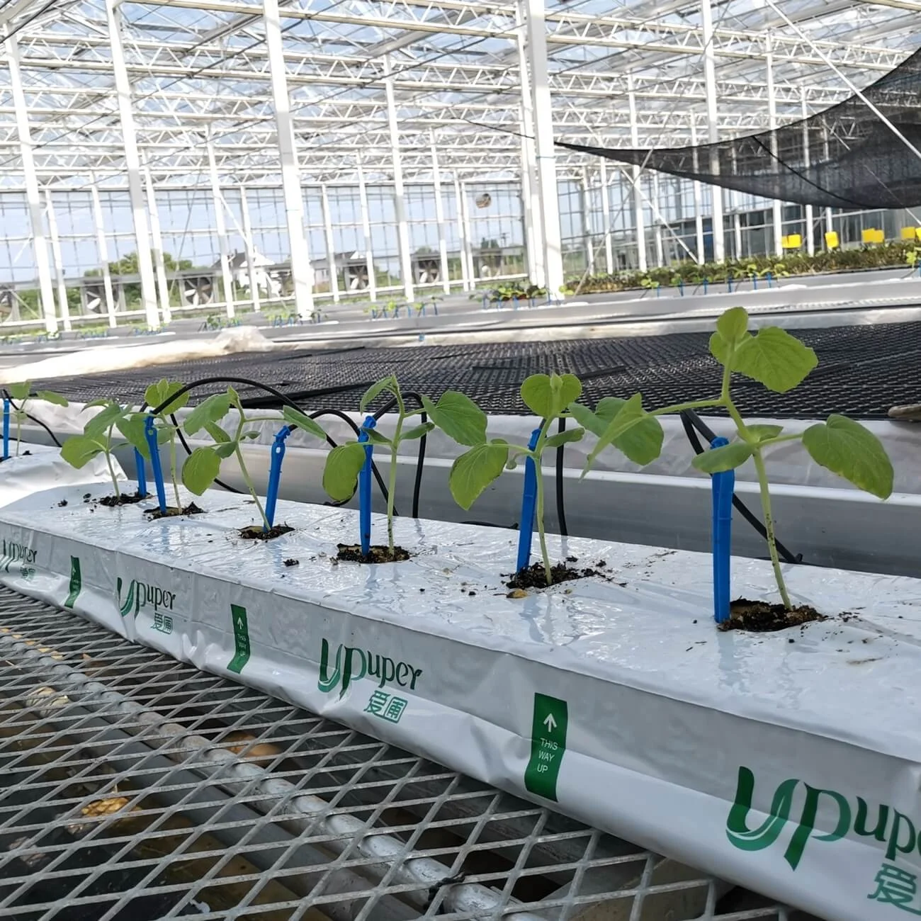 UPuper 40x8x3 inch agricultural greenhouses hydroponics tomato growing rock wool cultivation bags