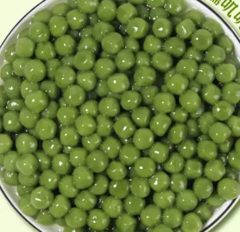 New style mini fruit tapioca taro bal sugar pear maker bubble boba pearl makinf machine