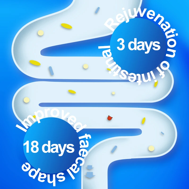 Manufacturer Factory Price Food Dog Dry Gastrointestinal Fresh Meat Complete Dog Food