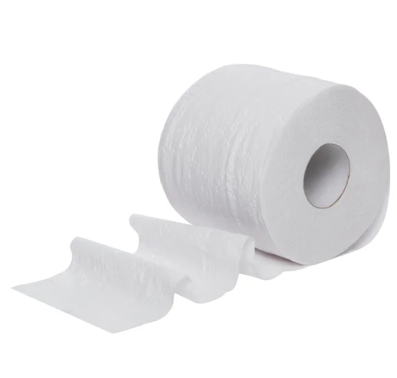 Customized Comfort White 2 ply 12 Double rolls Printed Virgin Wood Pulp Core Toilet paper/ Bath tissue roll