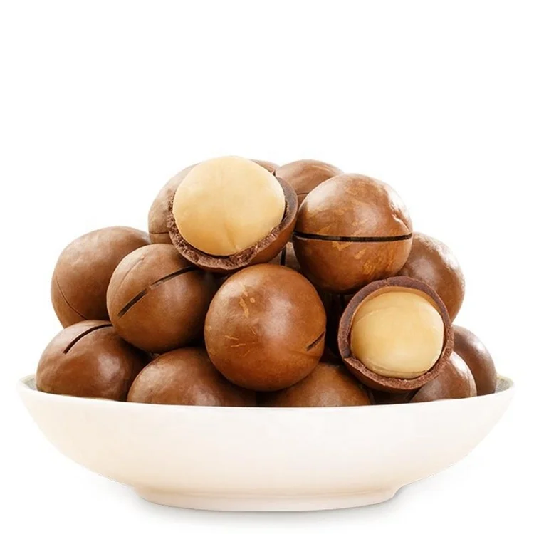 Factory Wholesale Raw Materials Natural Delicious Roasted Macadamia Nut Kernel Competitive Prices Macadamia With Shell