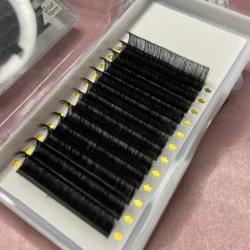 Free Sample lash trays wholesale C CC D DD matte lash extensions trays  your custom logo cashmere lash tray