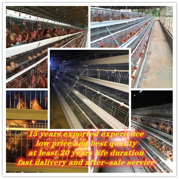 Hot Sale Galvanized Automatic A Type 3/4 tiers Chicken Cages Layer For Poultry Cage