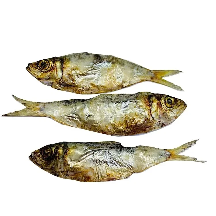 High-quality and discount price dried herring dried herring with firm meat and delicious taste dried fish