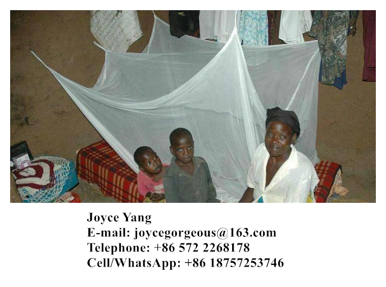 Zambia Long Lasting Deltamethrin Impregnated Mosquito Nets/Chinese mosquito net factory/moustiquaires impregnee