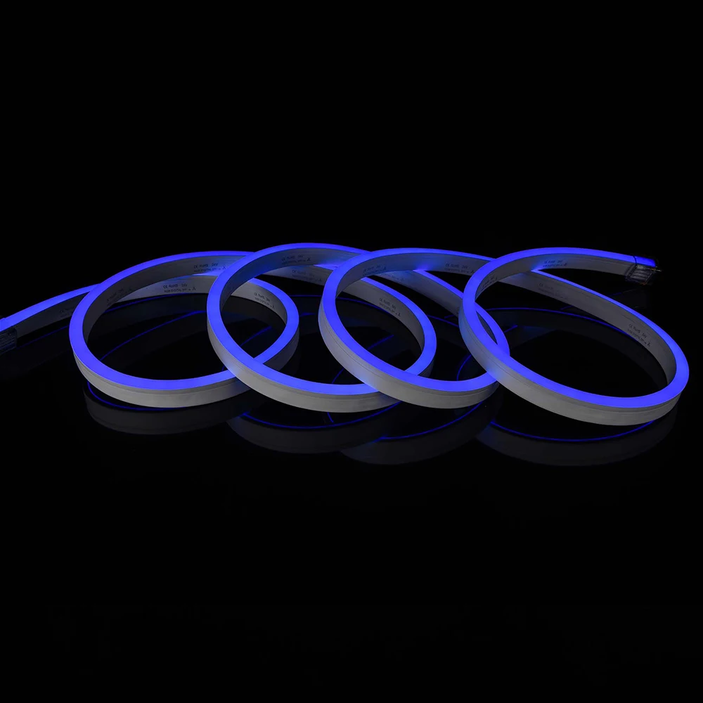 IP68 Swimming Pool Light Underwater Led Neon Flex Tube 10x20mm Ultra Thin RGB 5050 PWM DMX 12V 24V 110V 220V Strip Tape Rope