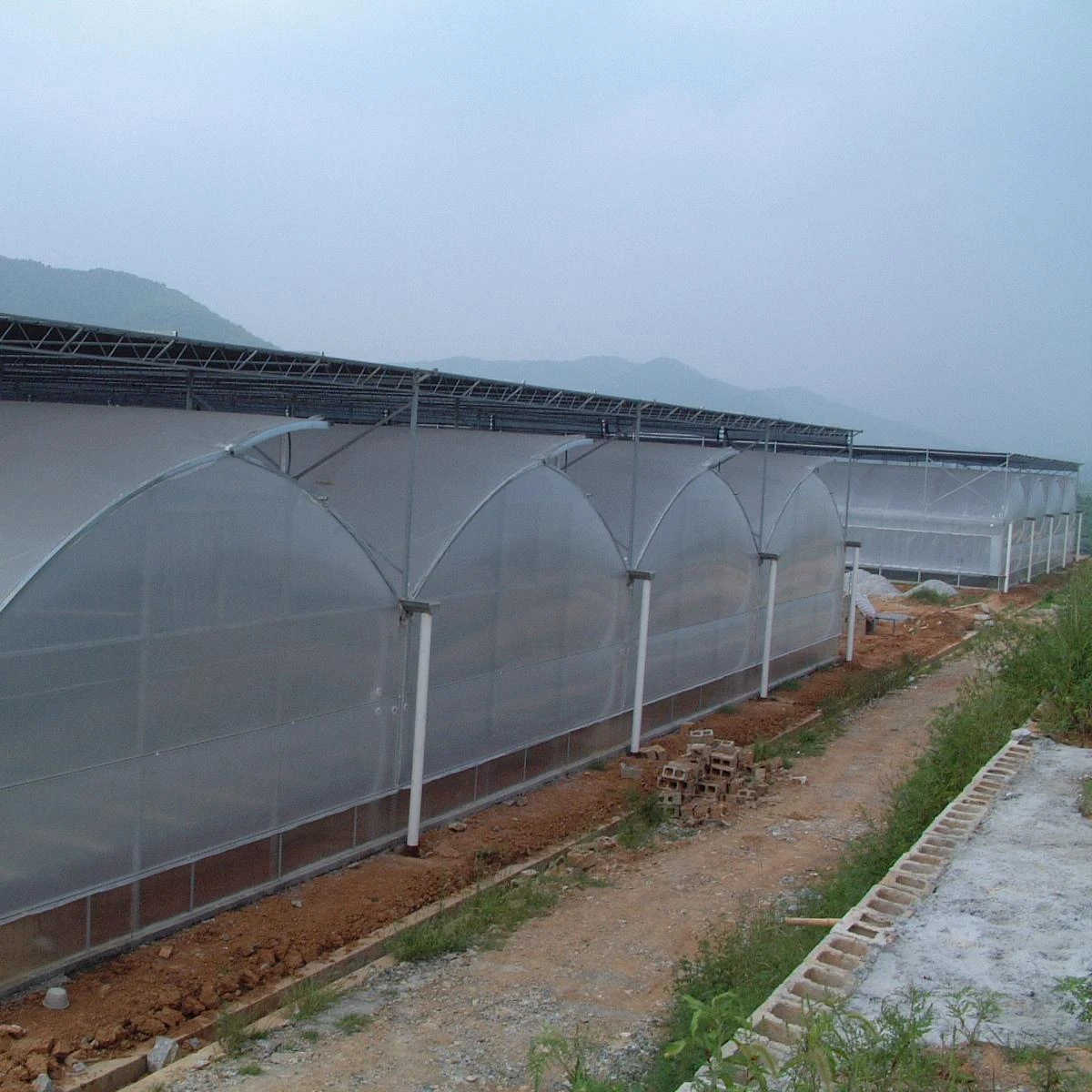 
Low Cost large commercial multi span polyethylene film arch Tunnel type agriculture vegetable tomato greenhouses 