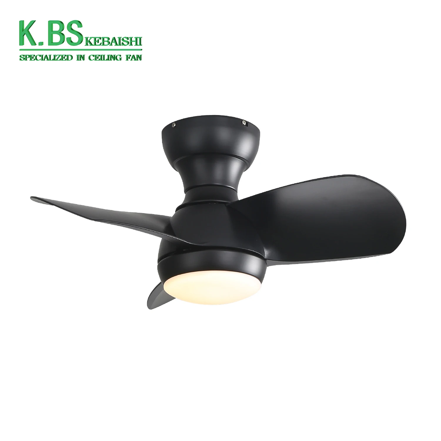 Philippines Low Noise Children Bedroom 22 Inch Smart Modern Led Ceiling Fan With Light And Remote