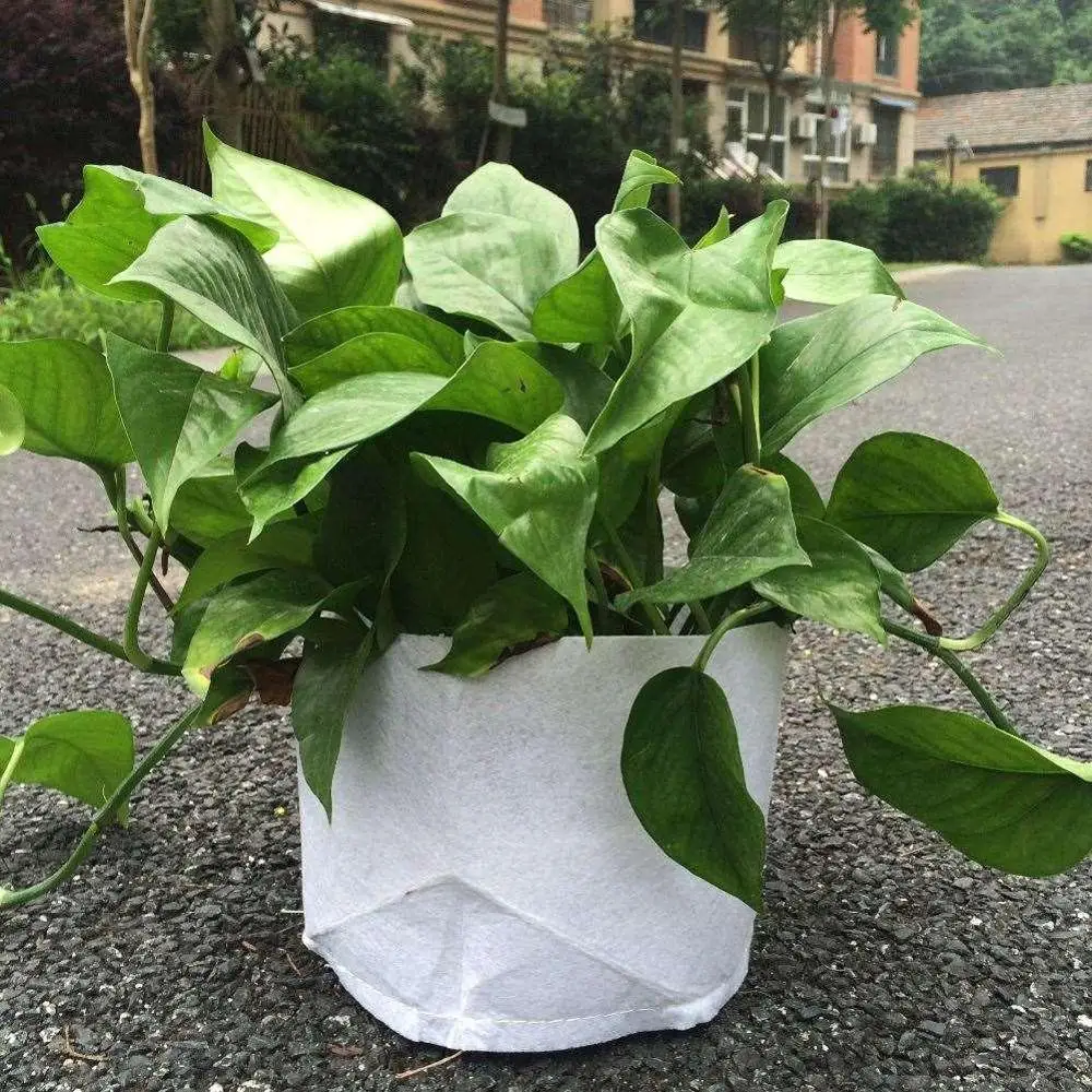 Breathable Non woven pot fabric cover /agriculture pp nonwoven agro bond container/seed nonwoven bags