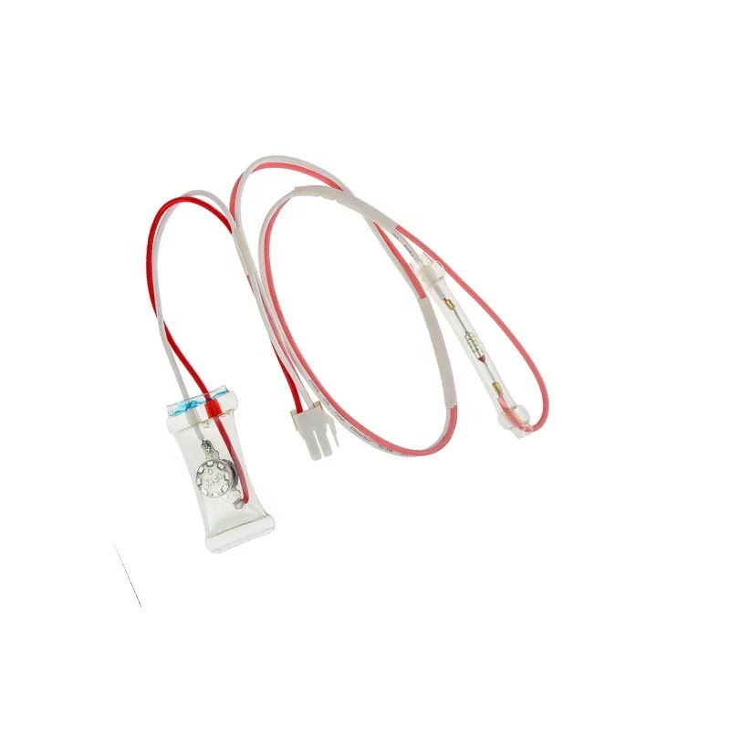 Reliable 220V Electric Freezer with Automatic Thermostat New Condition OEM & ODM Safety Features Household Refrigerator Parts