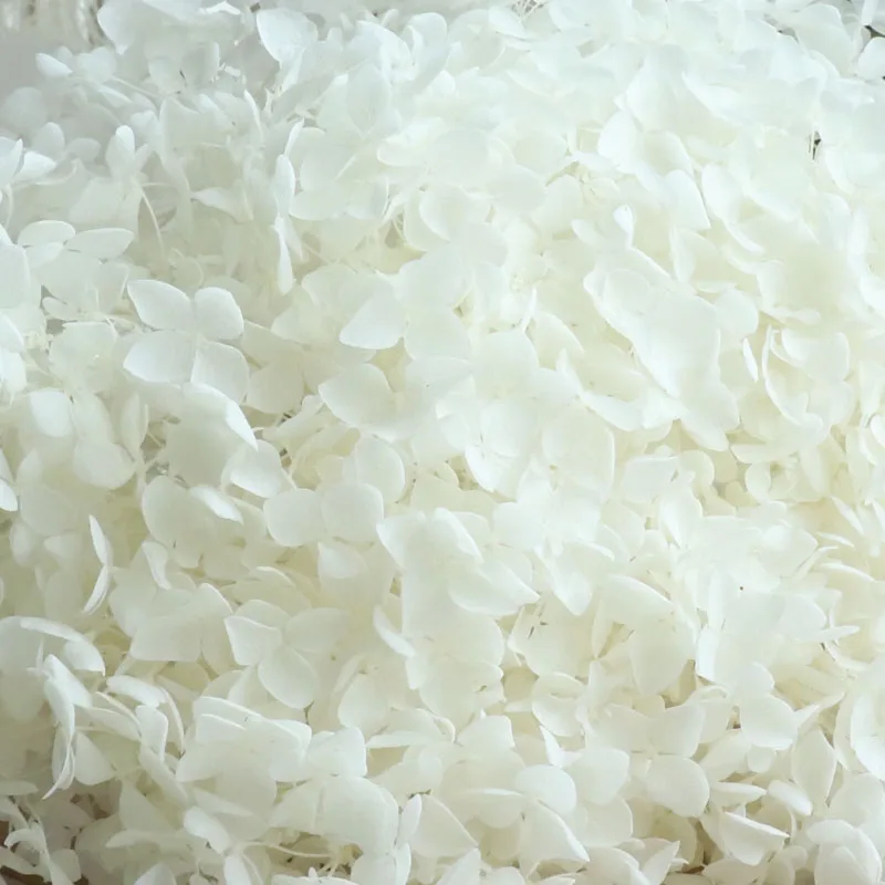 Hot Selling Manufacture Natural Preserved Flower Dried Flowers Hydrangea with best Price for Home Wedding Decor white hydrangea