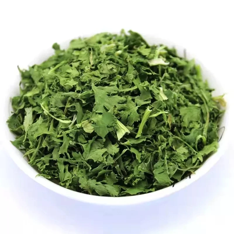 Food Grade AD Vegetables Coriander Leaves Single Herbs & Spices Green Dried Leaves in Good Price 10MT/20FCL 20kg/carton 20 Kg