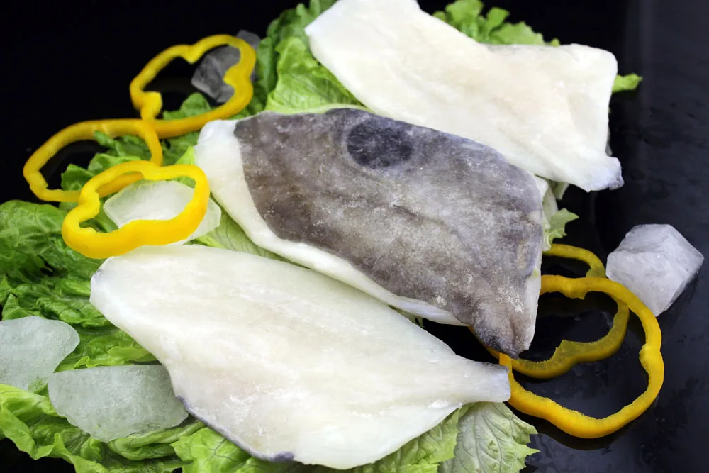 
Black dory fillets in fish frozen seafood 