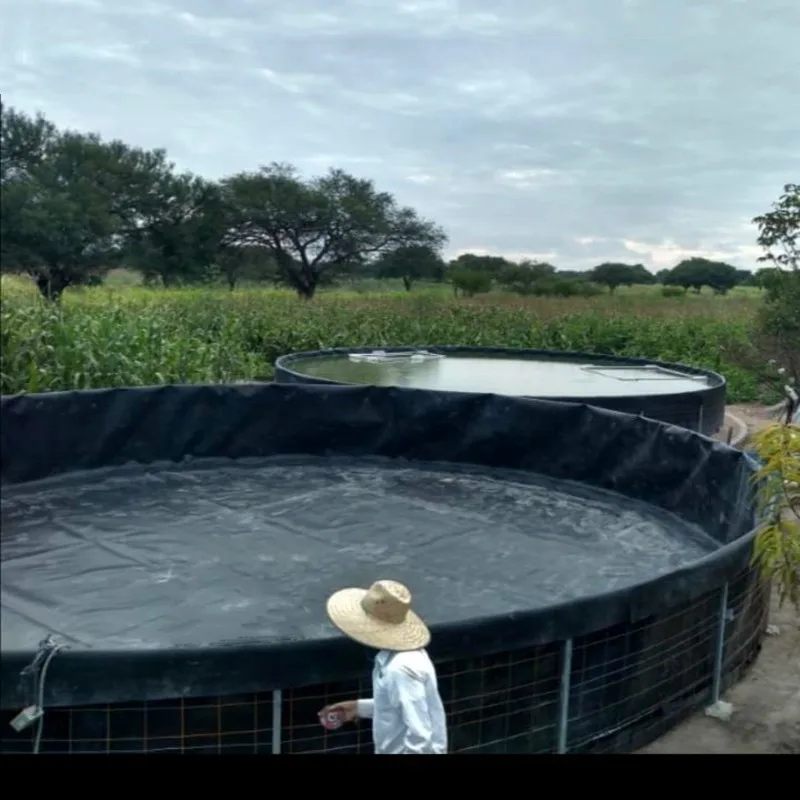 Customized excellent environmental stress resistant cracking performance  chemical erosion resistance   geomembrane pond liner