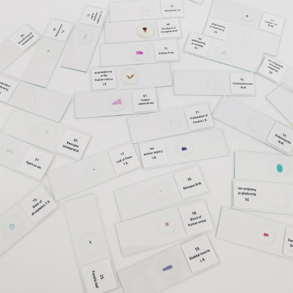 100 kinds of human microscope histology and embryo prepared slides
